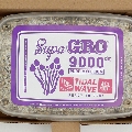 Magic mushrooms cultivation kit