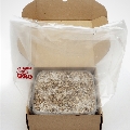 Jack Frost ready to grow magic mushrooms growbox Extreme XL 2100ml
